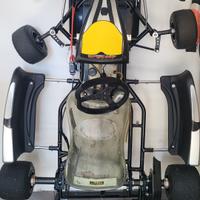 go kart 125 rotax max evo 