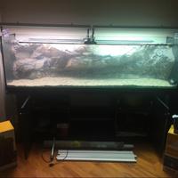 Acquario 1200 litri con mobile e accessori