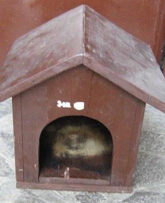 CUCCIA PICCOLA per CANE o GATTO in legno artigian.