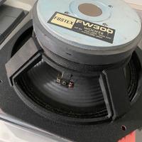 woofer Fostex FW300