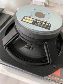 woofer Fostex FW300