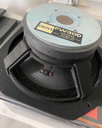 woofer Fostex FW300