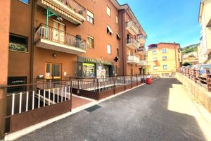 Ampio appartamento zona centrale
