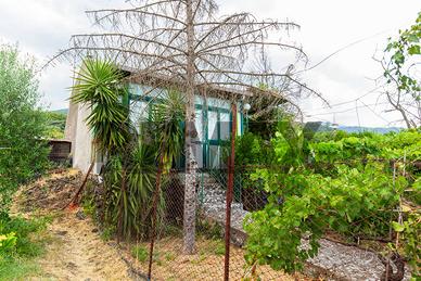 Casa Indipendente - Zafferana Etnea