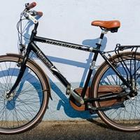 Bicicletta city bike Torpado Shimano  Nexus 7v