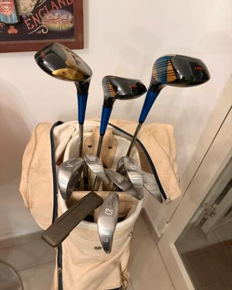 Set golf sacca carrello Titleist spalding ping