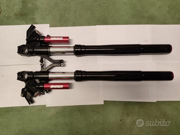 Baba Jiji Forcella anteriore coppia Kawasaki zx 10 r 2016 - Accessori