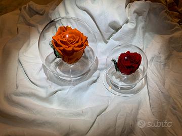 Sfera in vetro con rosa vera stabilizzata