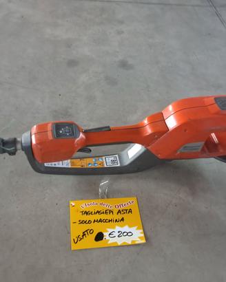 Tagliasiepi ad Asta a Batteria Husqvarna 520iHE3