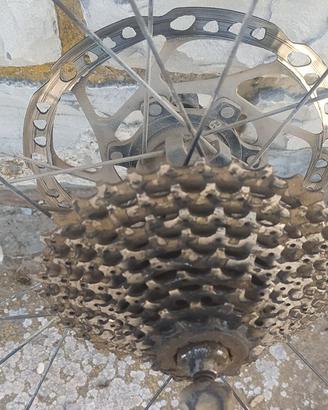 Cerchi bici
