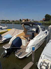 Saver 650 cabin sport