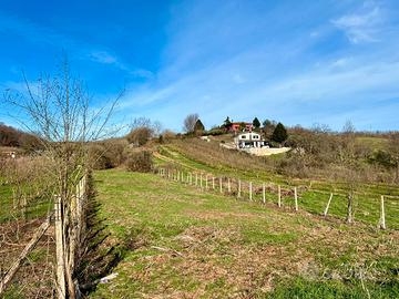 Palestrina: terreno agricolo