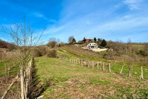 Palestrina: terreno agricolo