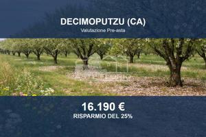 Immobile in asta di 7867 m² a Decimoputzu