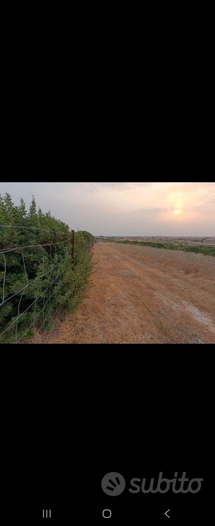 Terreno agricolo recintato Maracalagonis. - Vista 5