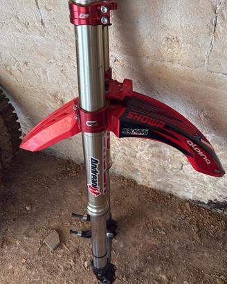 showa 49, piastre geco L30, piedini stm