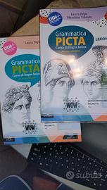  9788828624318 Grammatica Picta  gram. +lezioni 1