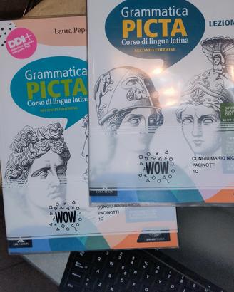  9788828624318 Grammatica Picta  gram. +lezioni 1