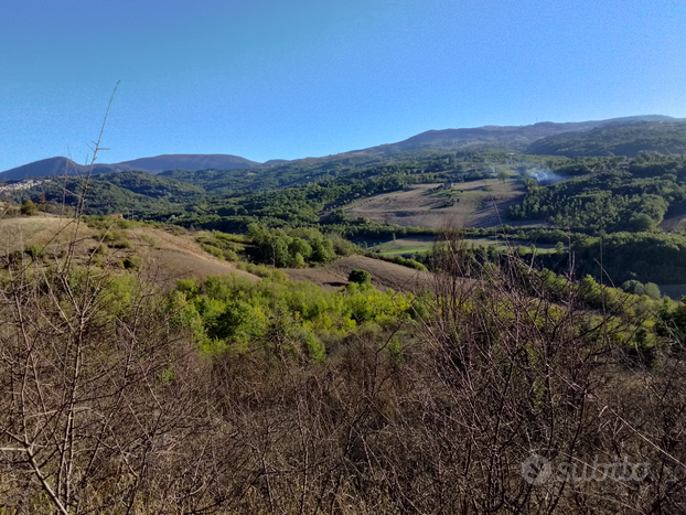 Terreno agricolo 7 ettari