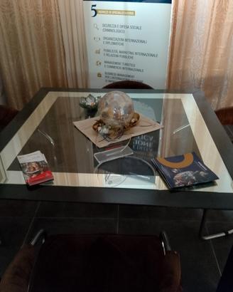  arredo ufficio 