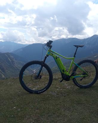 giant mtb
