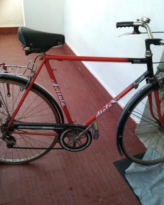 bicicletta da uomo 