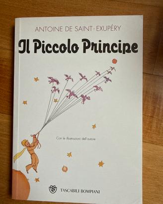 Il piccolo principe