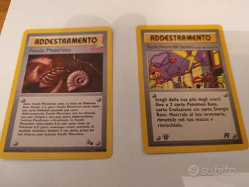 2 carte addestramento fossile  raccolta 