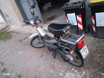 piaggio grillo