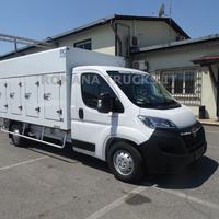 OPEL Movano 140CV CELLA A PIASTRE EUTETTICHE 7 S