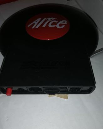 modem Alice