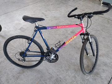 vari modelli  bici