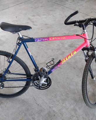 vari modelli  bici