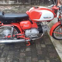 Ala verde 250