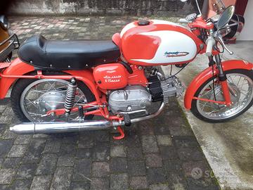 Ala verde 250