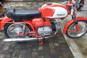 Ala verde 250
