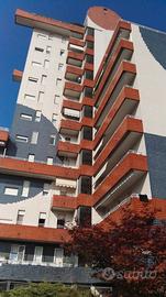 Ampio trilocale vicino fnm