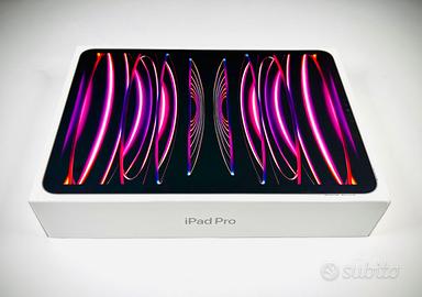 Ipad pro 11” M2 (quarta generazione)