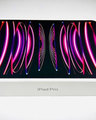 Ipad pro 11” M2 (quarta generazione)