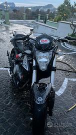 Benelli bn 302