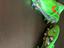 Immagine 4
