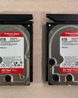 2 Hard Disk WD Red Plus 6tb (in garanzia)