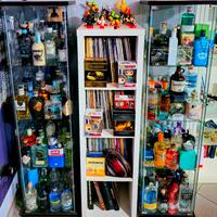  Vetrina Collezione GIN