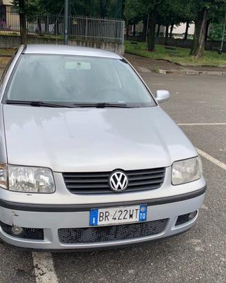Volkswagen Polo 1.0 (SU APPUNTAMENTO)
