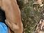Immagine 6