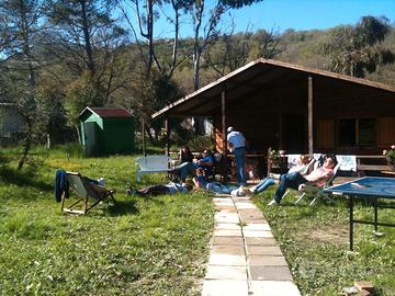 Terreno a Piana degli Albanesi, 2500mq