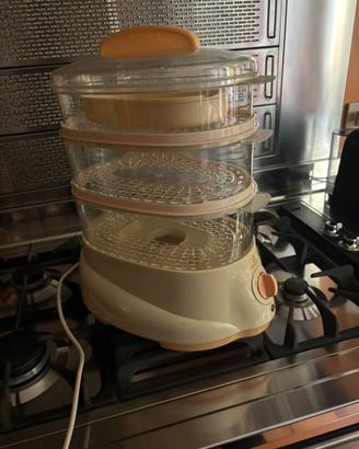 Vaporiera elettrica
