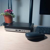 HP mini pc | RAM 16gb - SSD 256 NVMe | win 11 pro