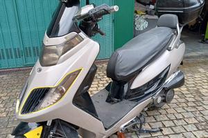 SCTER KIMCO DINK 200