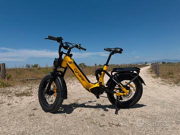 Bici elettrica 110km autonomia legale
